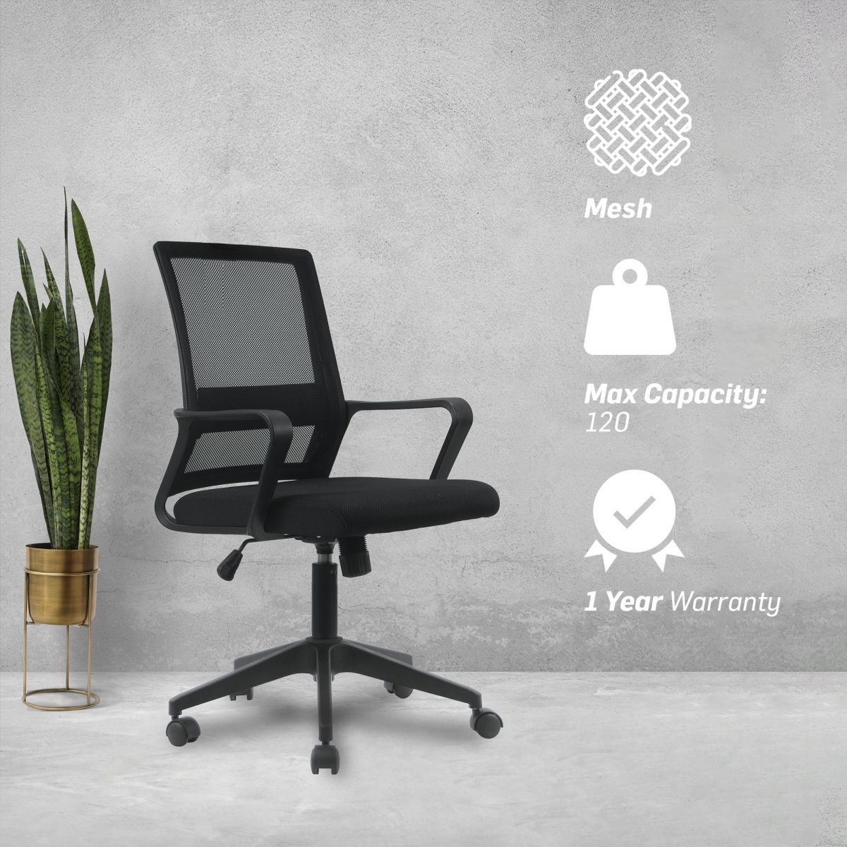 Everfurn Marine Mid Back Chair - Affordable Comfort